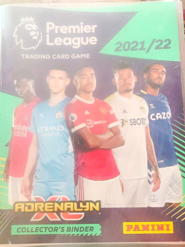 Panini adrenalyn premier - panini,
