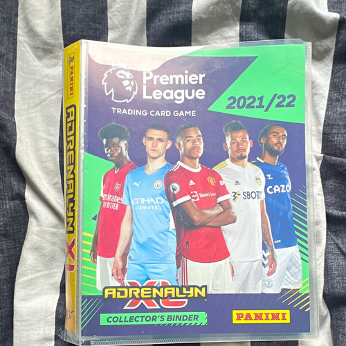 Panini adrenalyn premier - panini,