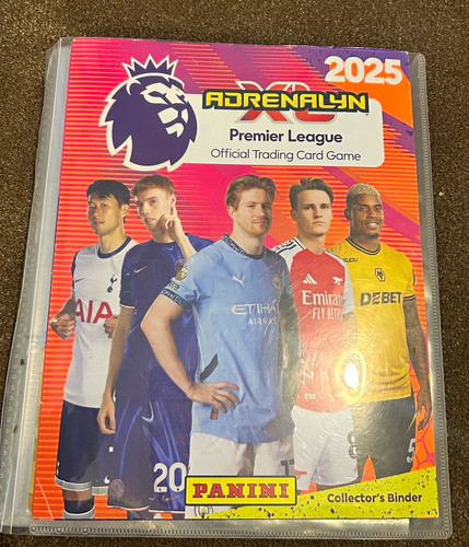 Panini adrenalyn premier - panini,