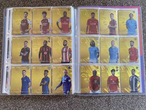 Topps premier league flagship - premier,