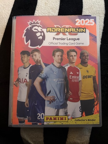 Panini adrenalyn premier - panini,