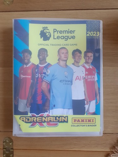Panini adrenalyn premier - panini,