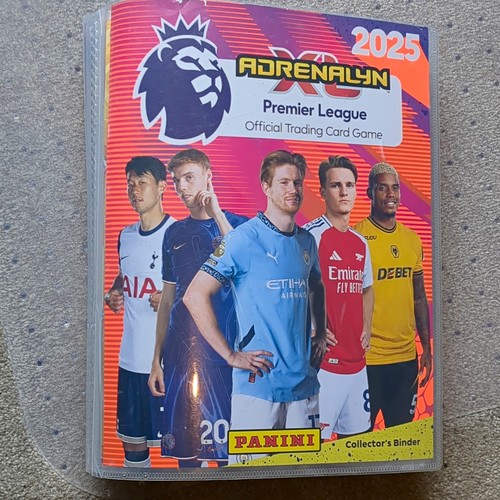 Panini football binder - football,