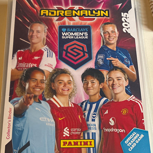 Panini adrenalyn barclays - adrenalyn,